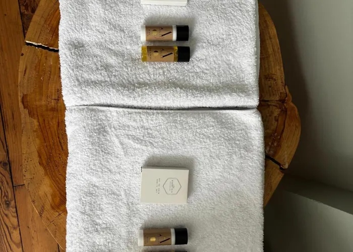 La Coulee Verte - Superbe Duplex Climatise - Jardin - Classe 3 Etoiles Bagnères-de-Luchon