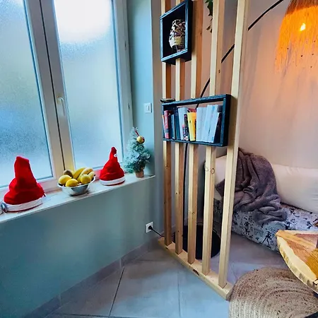 Superbe Duplex Climatise Avec Jardin Classe 3 Etoiles 2 A 4 Pers Bagnères-de-Luchon