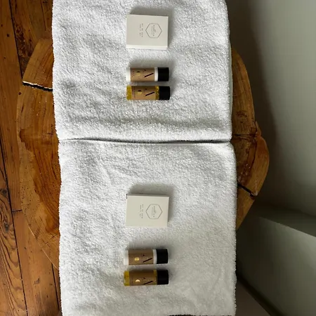 Superbe Duplex Climatise Avec Jardin Classe 3 Etoiles Bagnères-de-Luchon