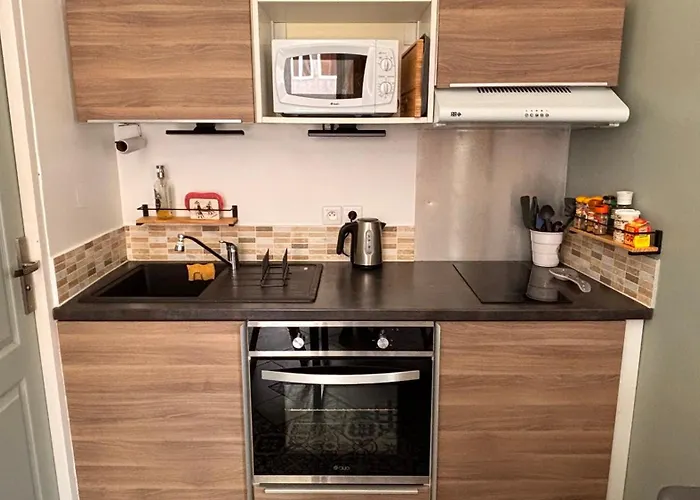 Superbe duplex climatisé avec jardin classé 3 étoiles Appartement