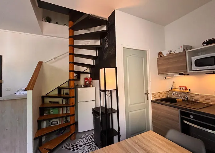 Superbe duplex climatisé avec jardin classé 3 étoiles Appartement Bagnères-de-Luchon